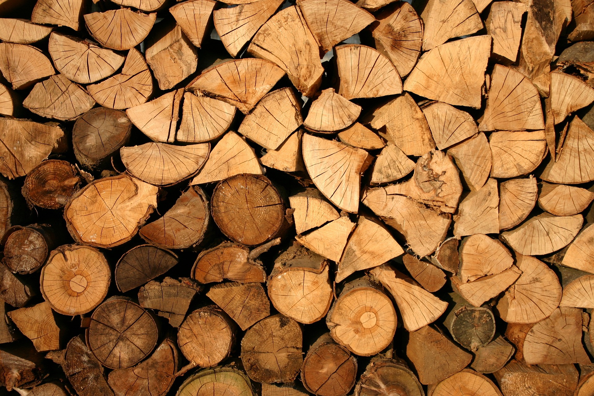 image of wood
